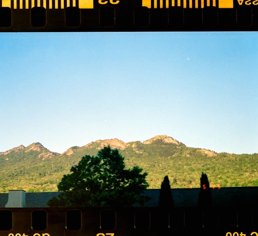Sunlit mountain peaks rising behind a lone tree at dusk, framed by the sprocket holes of a 35mm film strip.